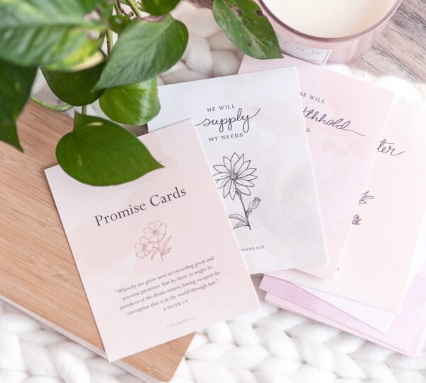 Promise Cards - Volume 1
