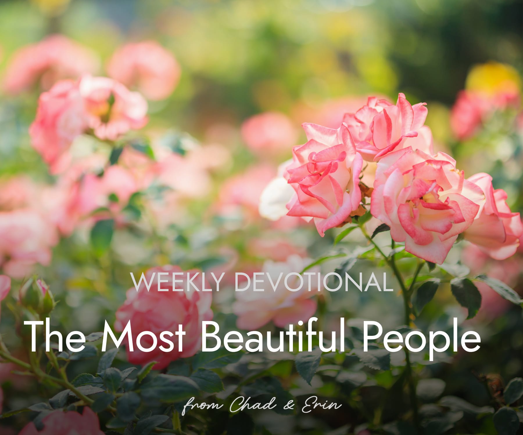 the most beautiful people